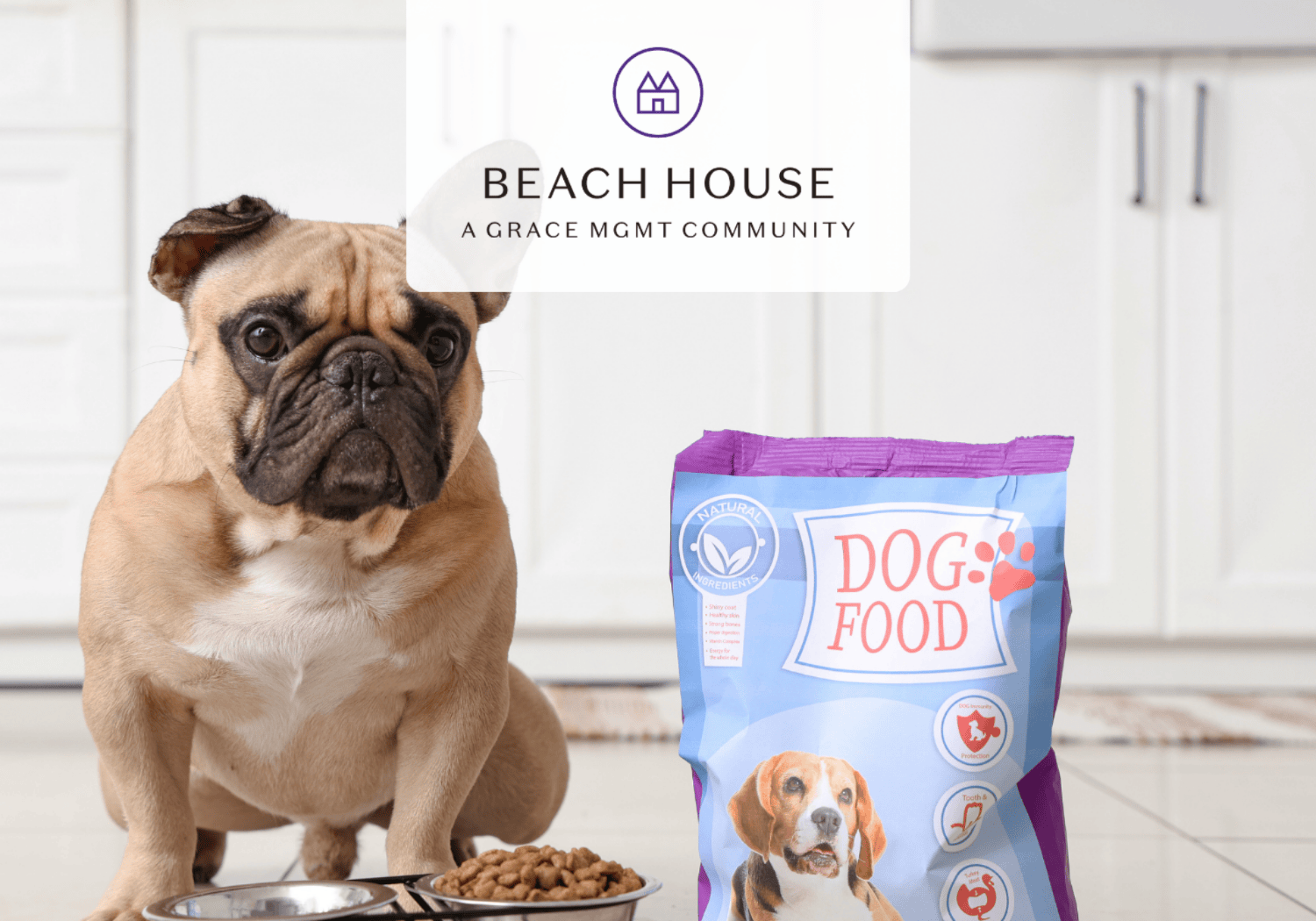 French bulldog sits on a white kitchen floor beside a blue dog-food bag labeled DOG FOOD, with a Beach House logo overlay above.